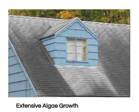 Shingles roof with algae streaks