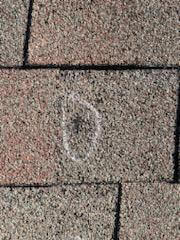 closeup of hail damage to an asphalt shingle