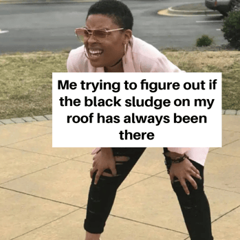 roof color changing meme