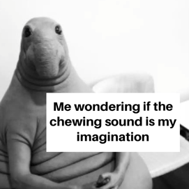 animal roof damage meme