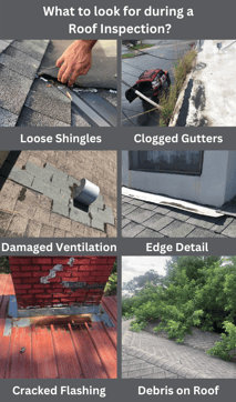 Clogged Gutters (1)