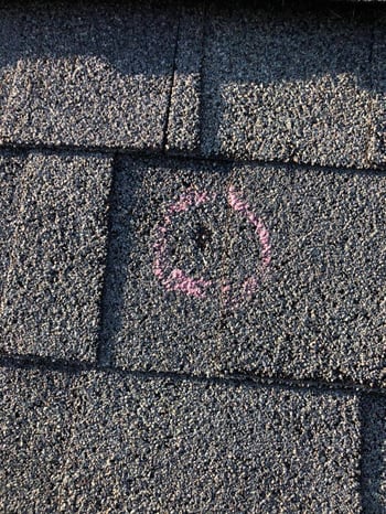 closeup of hail damage on an architectural shingle