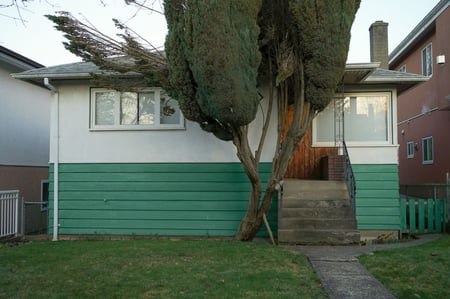 green house with tree