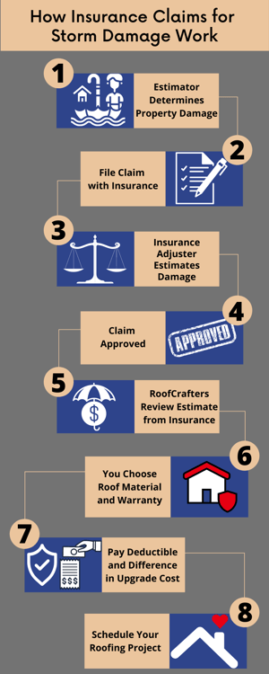 File Insurance InfoGraphic-1