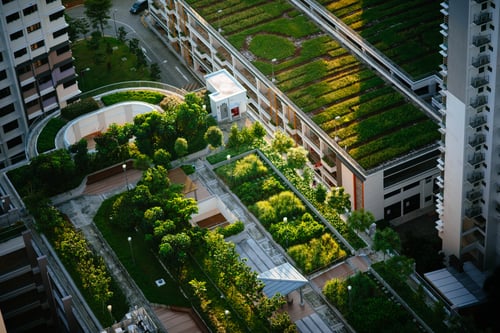 birds eye view of green roofs in a city