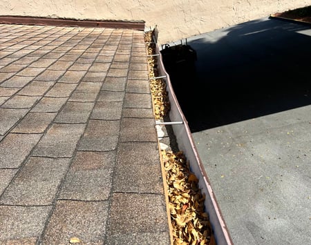 gutter spike debris
