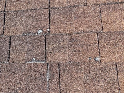 Shingle blistering before their lifespan is over