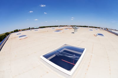 Large TPO roof with skylights