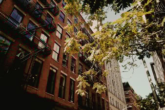 city street during autumn