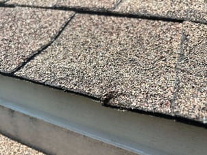 Hail damage to a shingle along the roof edge