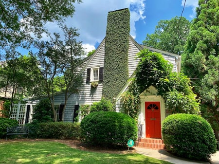 white home with green vines