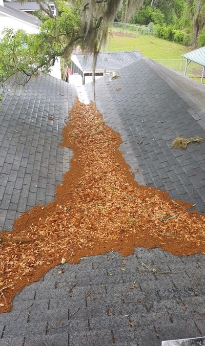 shingle roof with debris in the valleys