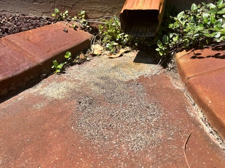granule loss from hail damage at a gutter downspout