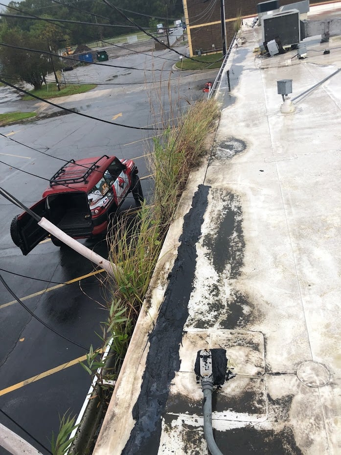 grass in gutters