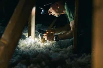 attic inspector