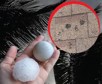 hand holding gold ball-size hail showing damage to shingles in Florida