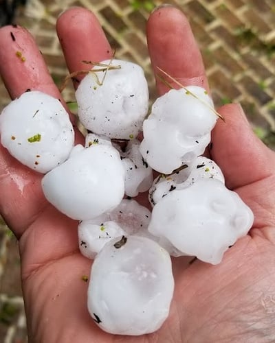 Hand holding hail from a recent storm