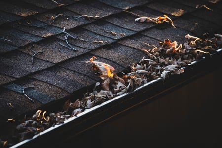 clogged gutter