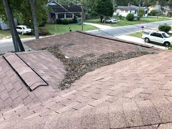 leaf debris on a roof