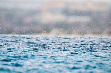 rainwater
