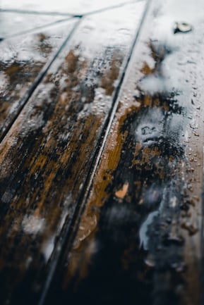 pongsawat-pasom-4C_6lQtDJ8g-unsplash