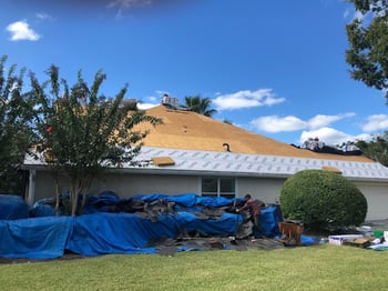 roof replacement in progress with tarps on the landscaping