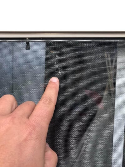 window screens with hail damage