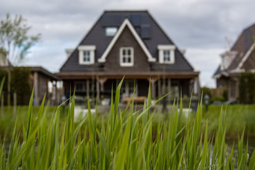 home among green grass