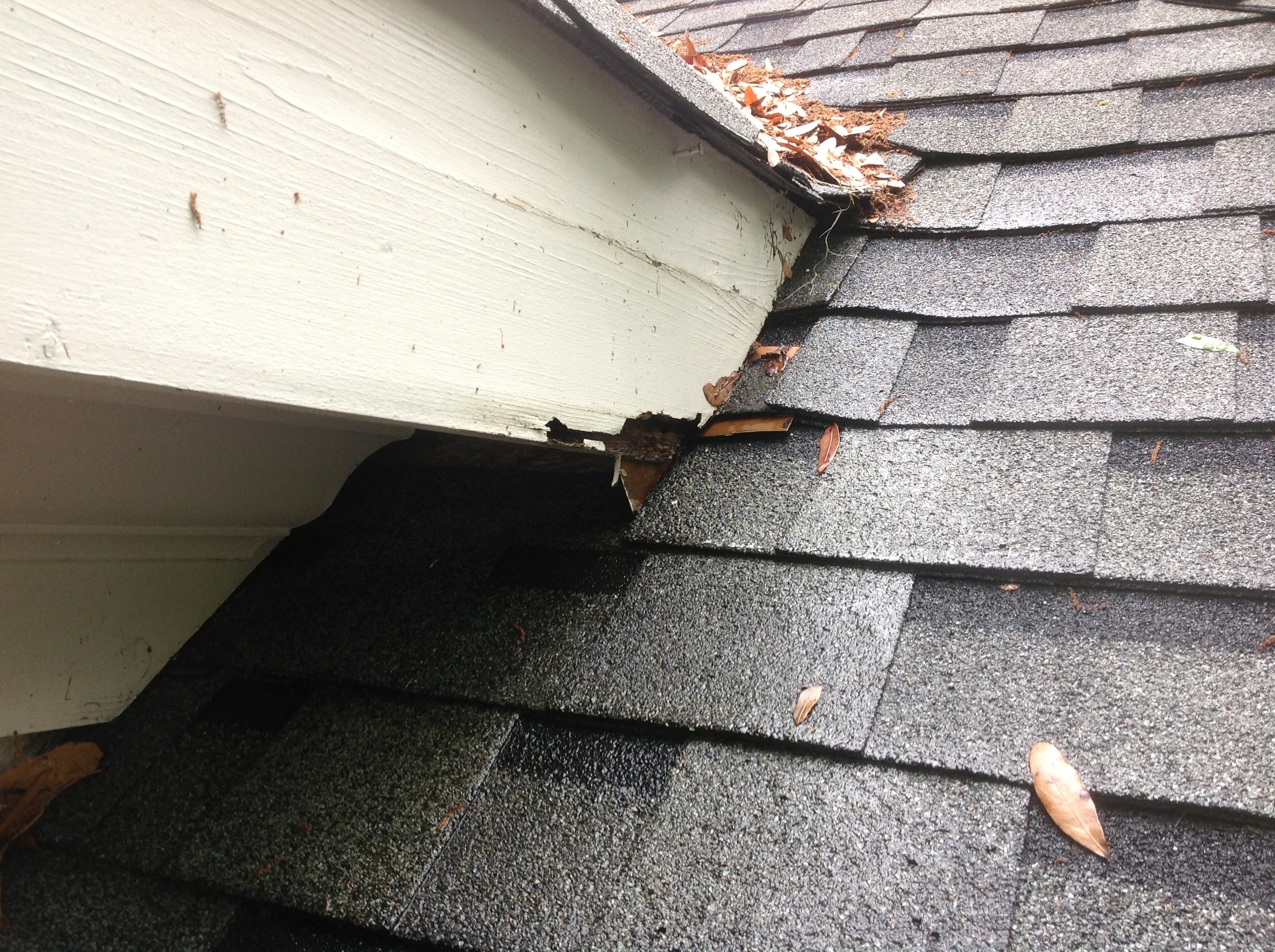 damaged asphalt shingles