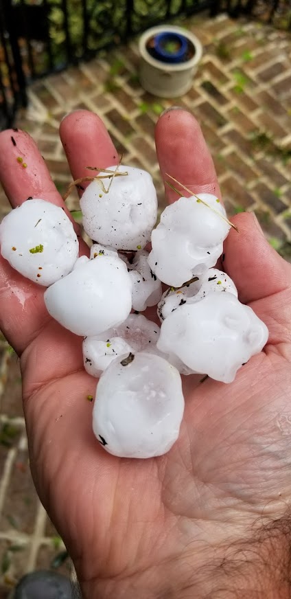 hand holding hail from a storm in Richmond Hill