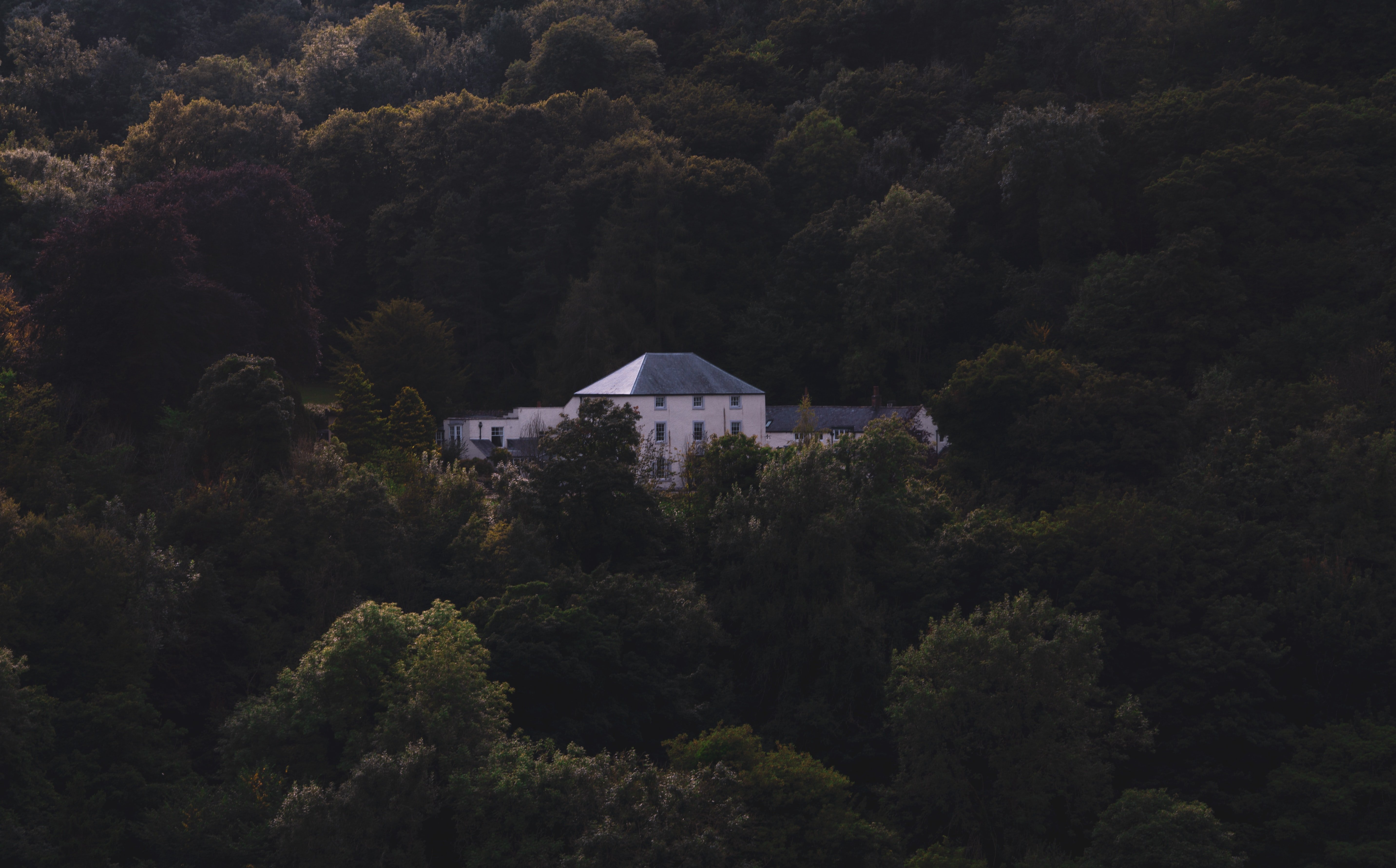 white and grey house surrounded by trees