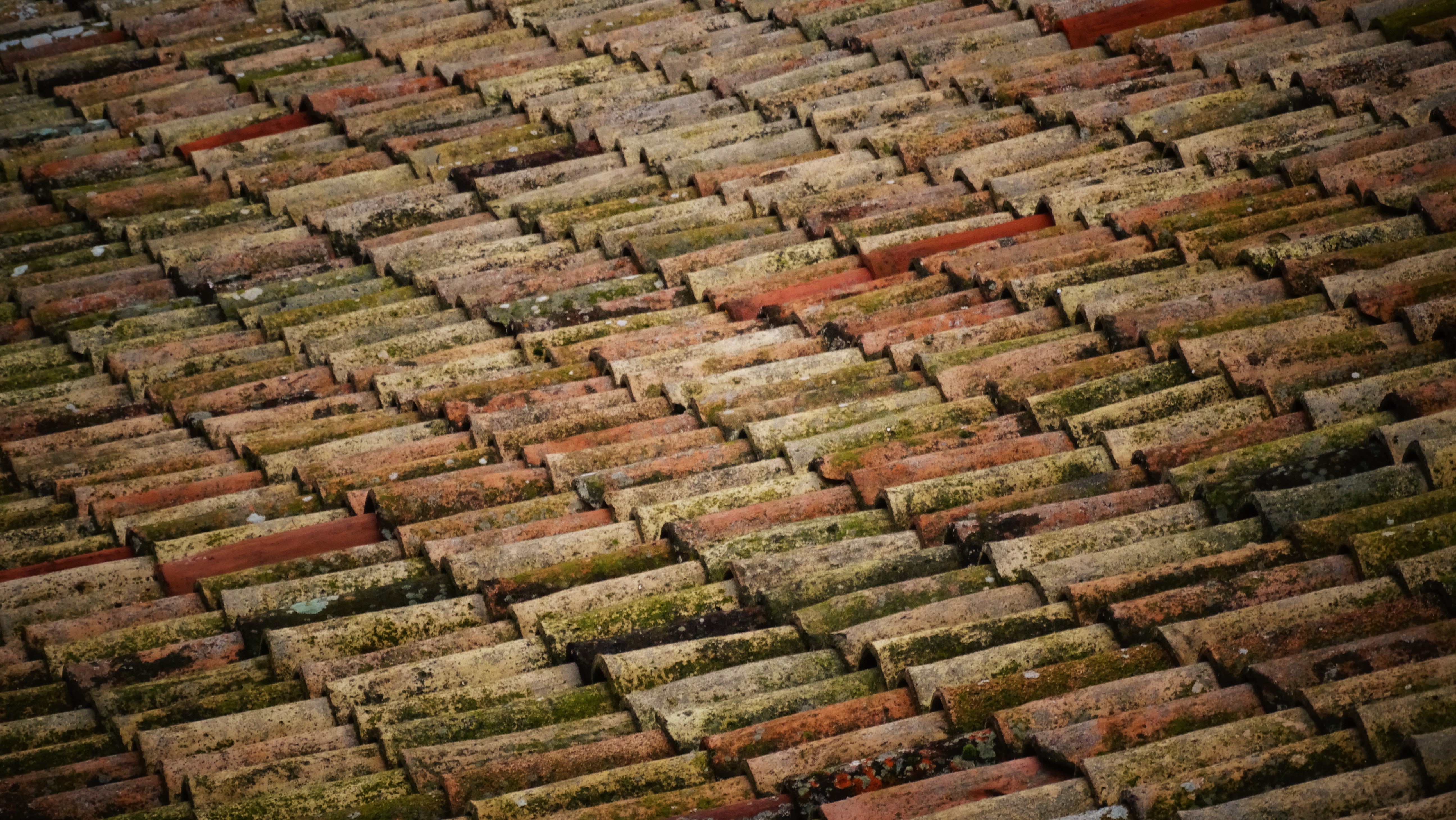 mossy roof tiles