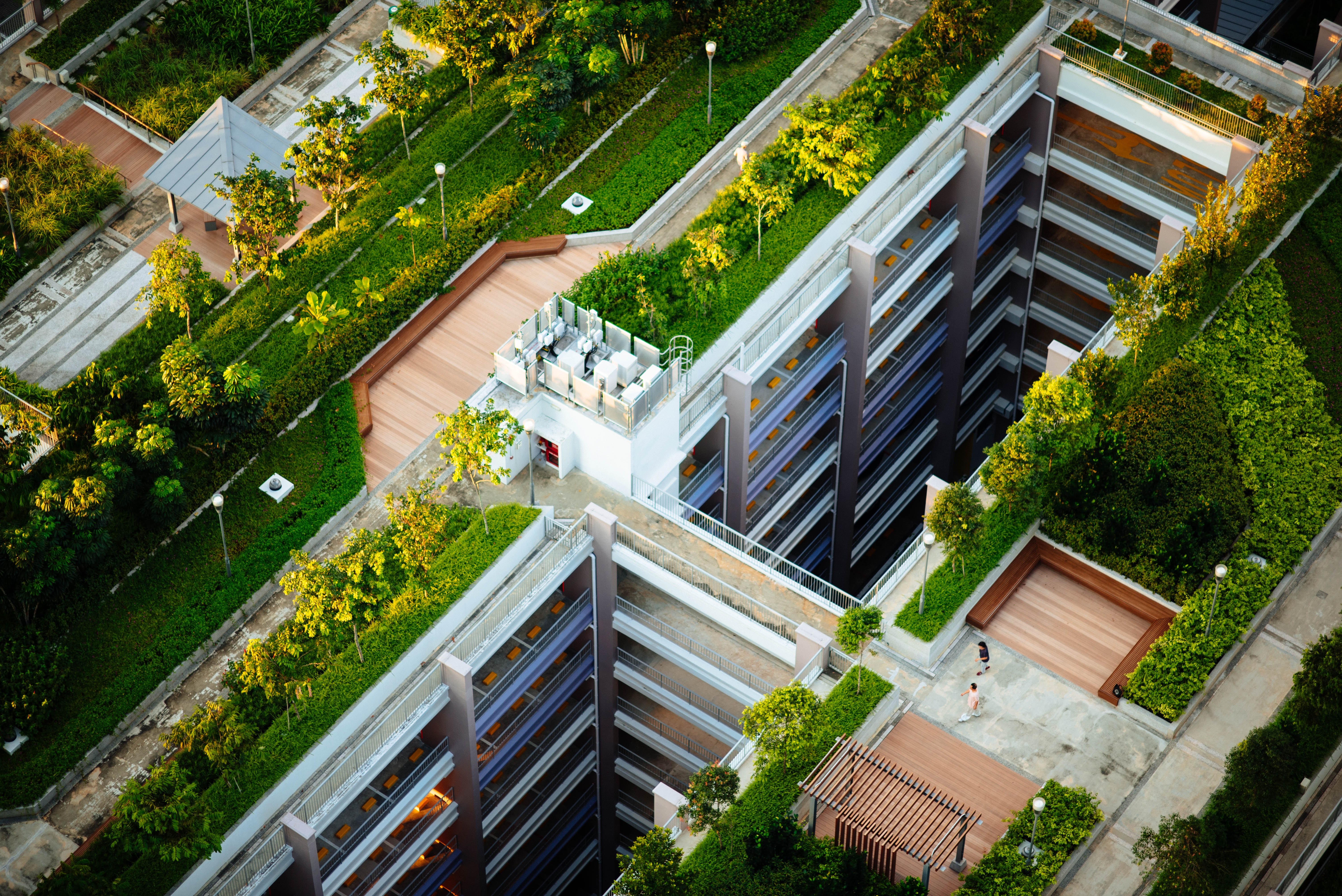 green roof on commercial building