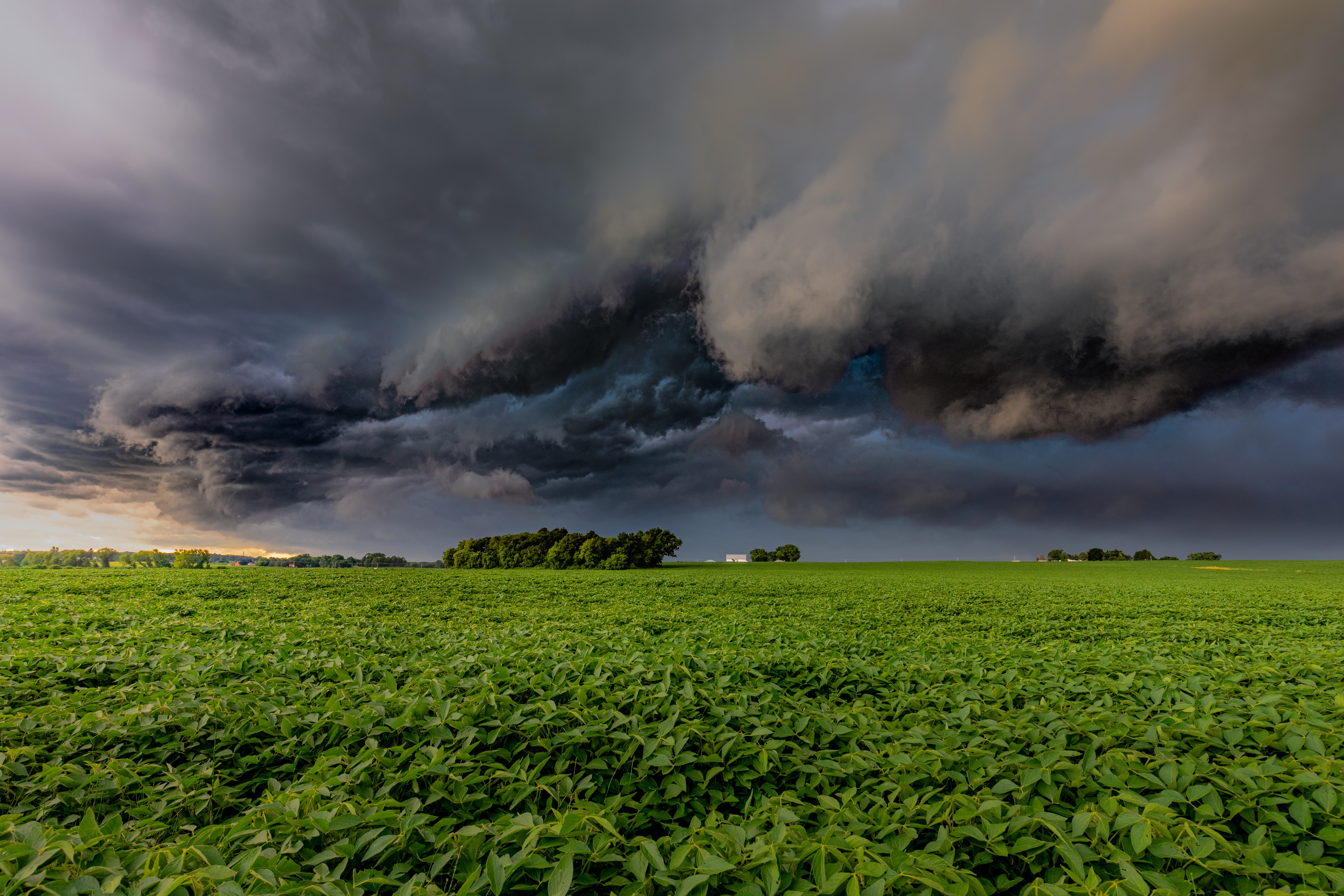 storm brewing over grassland