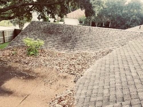 roof with tree debris in Tampa Florida