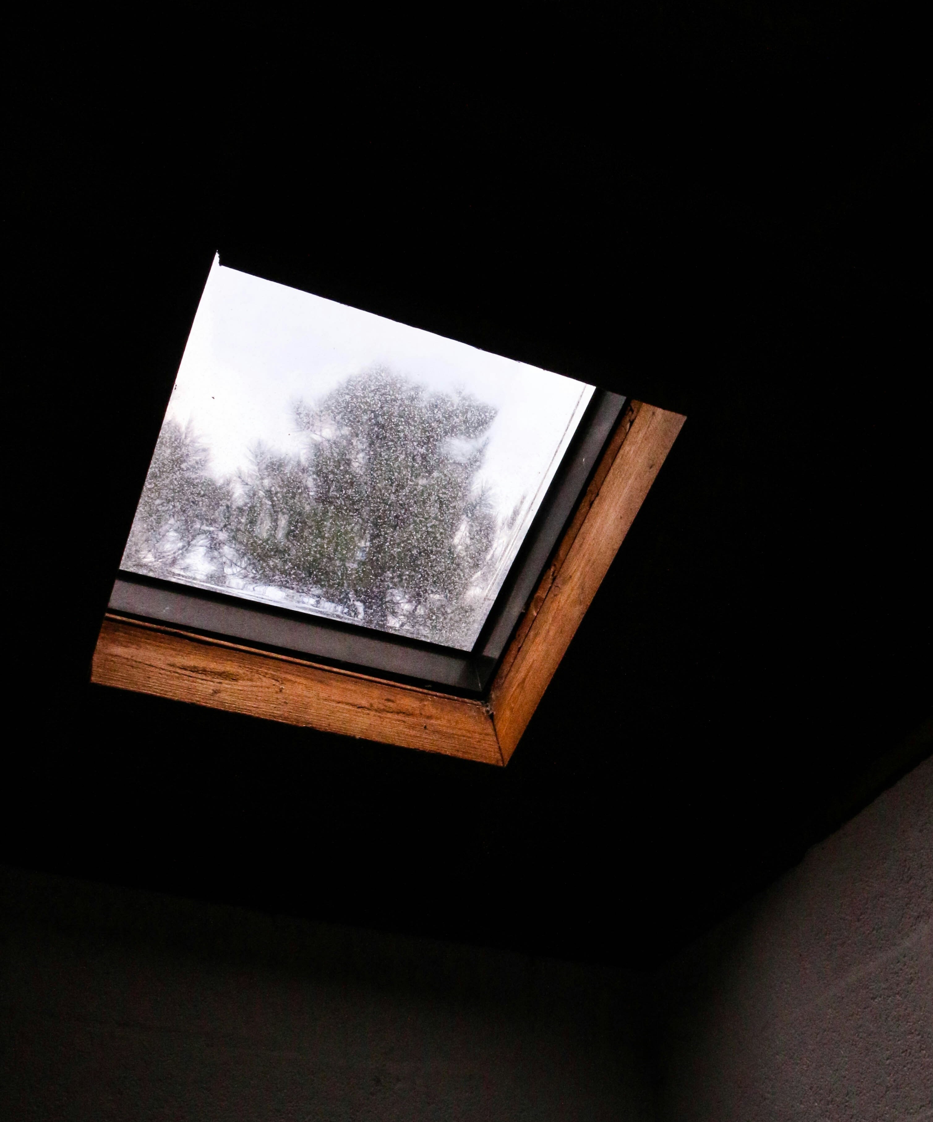 beautiful skylight