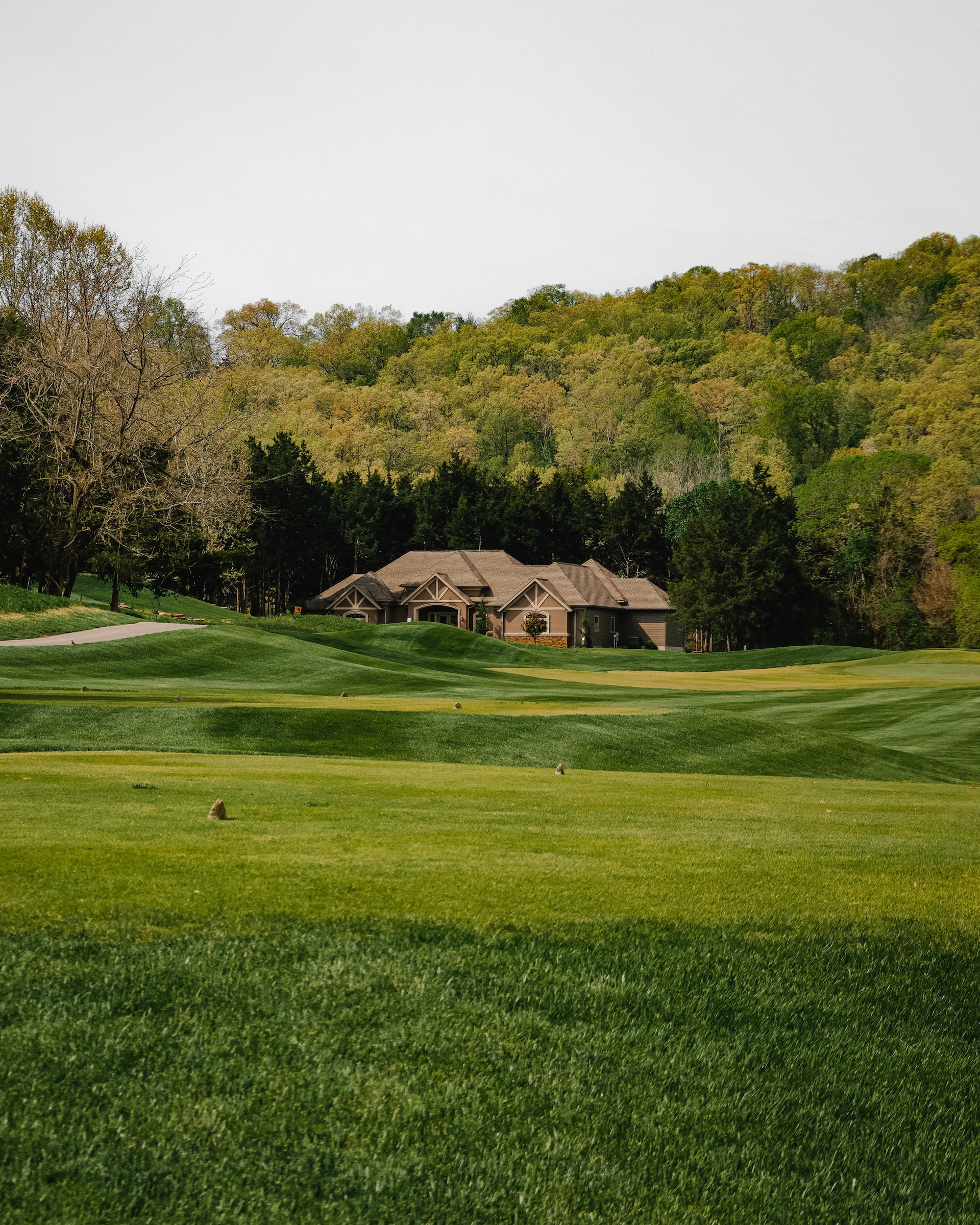 large home on golf course with asphalt shingle roof