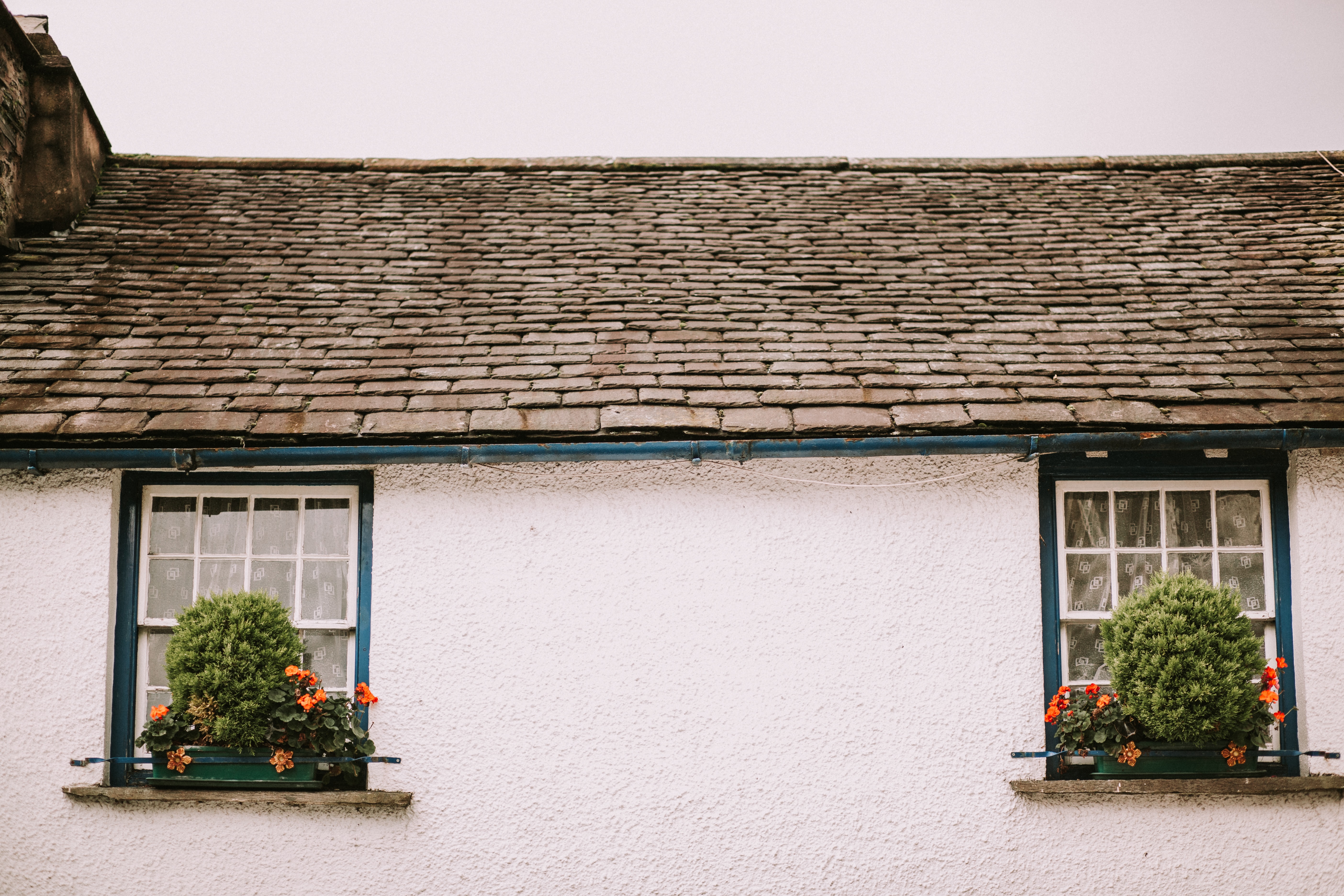 home with shingles and plants