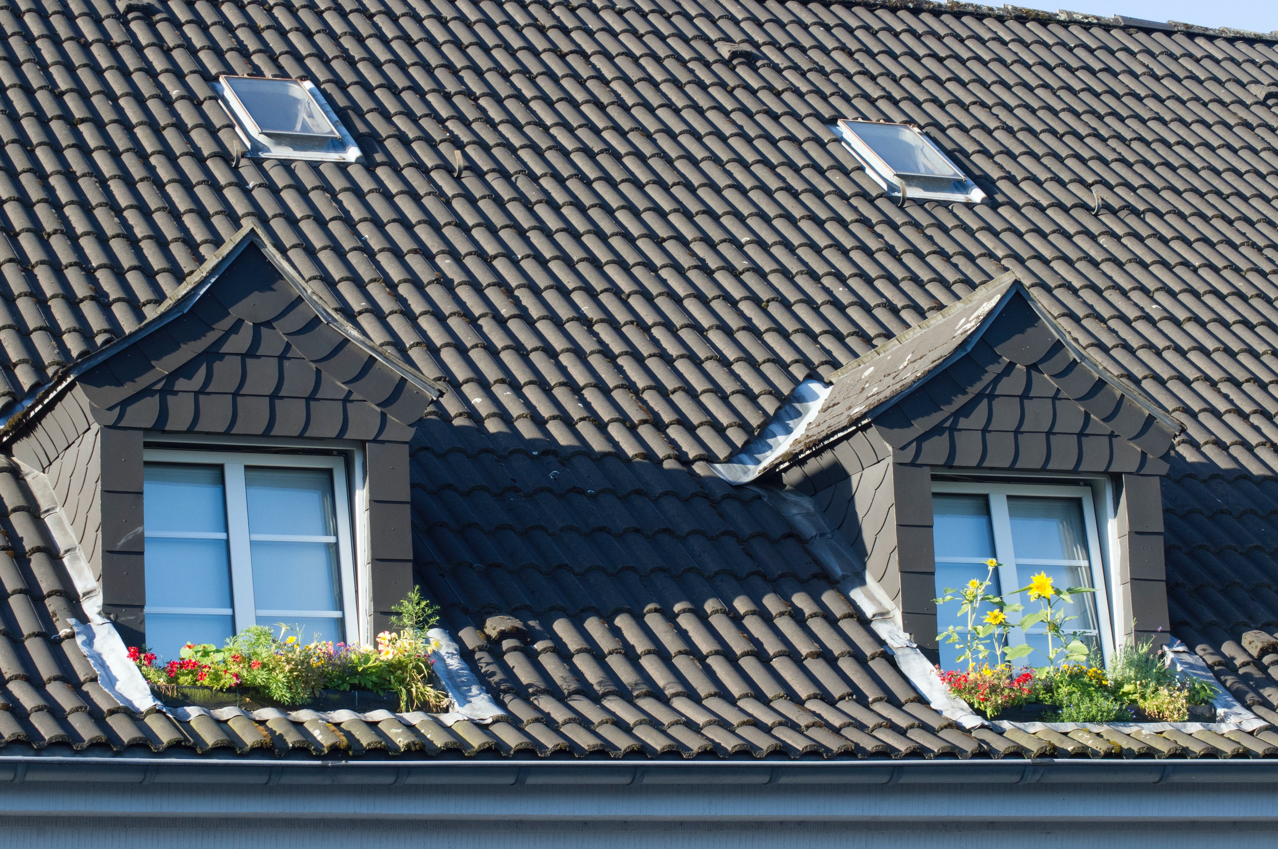 grey tile roof