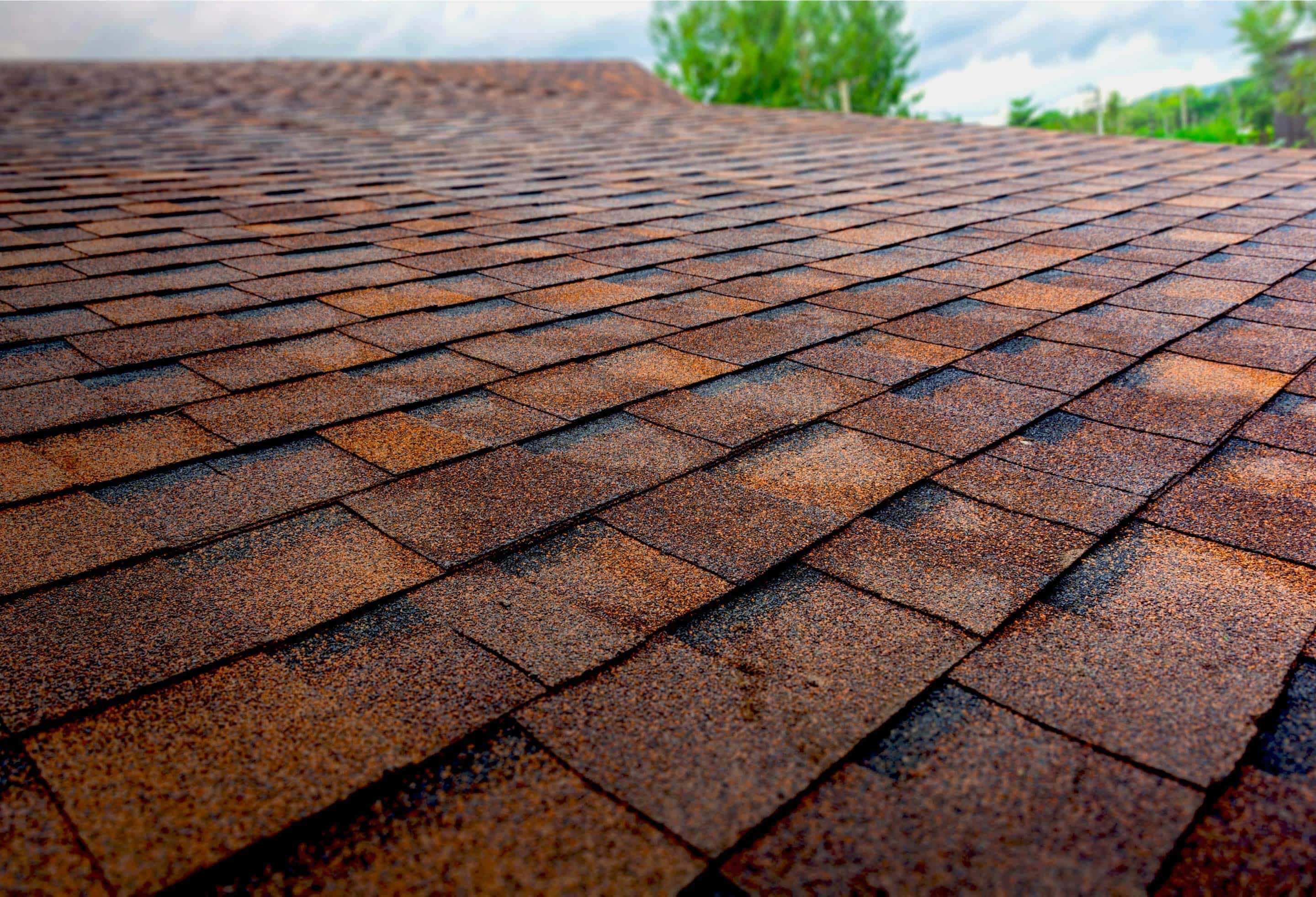 shingles on low slope roof