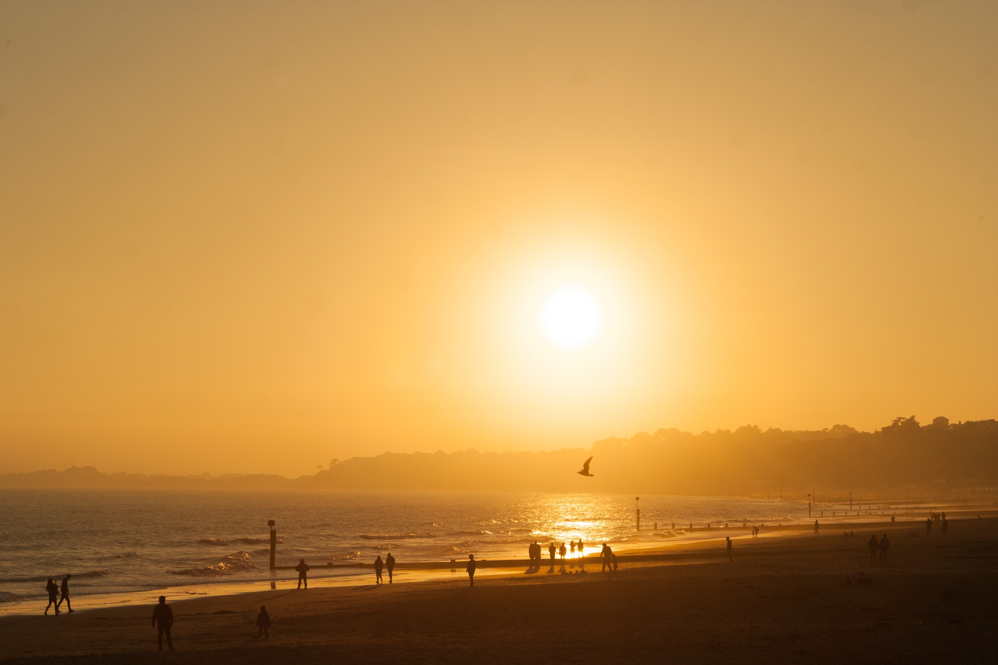 sunlight over ocean