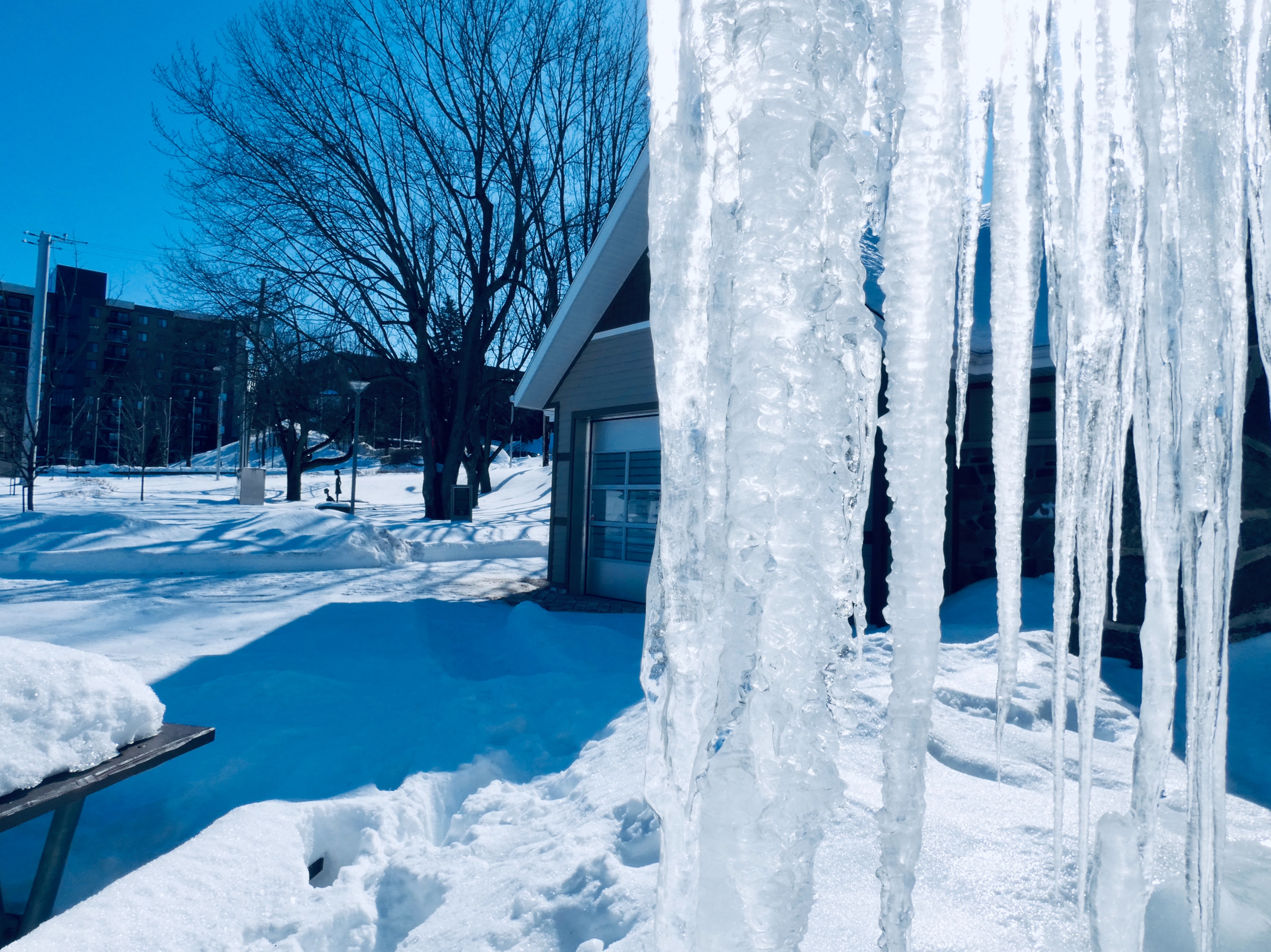 large icicles on home